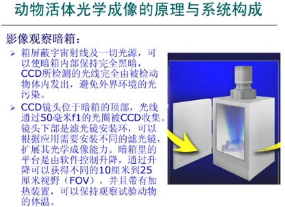 HS查询，报关单查询，单一窗口，报关软件，关务软件，云通关，科越