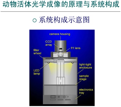 HS查询，报关单查询，单一窗口，报关软件，关务软件，云通关，科越