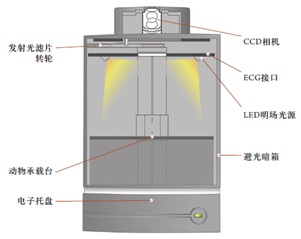 HS查询，报关单查询，单一窗口，报关软件，关务软件，云通关，科越