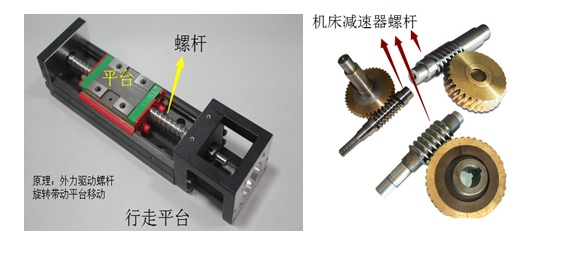 螺杆的归类分析