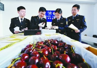 进口生鲜水果报关提速,进口水果报关,水果报关公司 进口生鲜水果报关提速,进口水果报关,水果报关公司