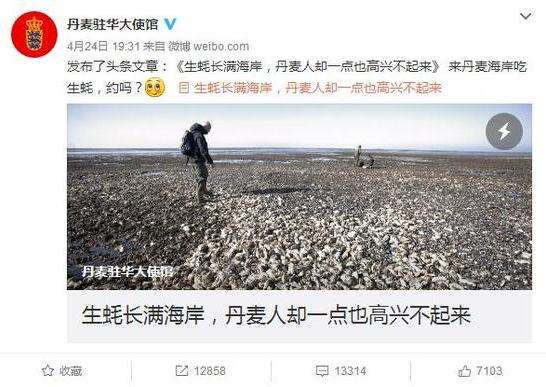 丹麦生蚝泛滥,进口海鲜清关,进口海鲜清关需注意 丹麦生蚝泛滥,进口海鲜清关,进口海鲜清关需注意
