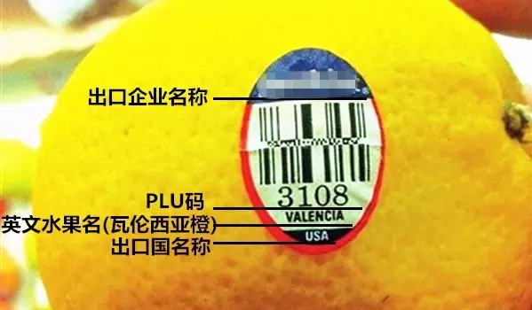 進(jìn)口水果