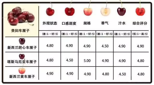 车厘子进口报关 车厘子进口报关