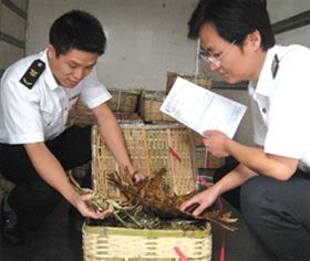 报关报检，欣海报关，自贸区清关，商品归类，跨境电子贸易