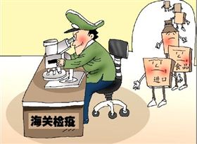 报关报检，报关公司，进口报关代理，上海报关行，海关HS编码，海关商品编码，欣海报关