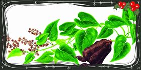 报关报检，报关公司，进口报关代理，上海报关行，海关HS编码，海关商品编码，欣海报关