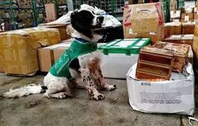 检验检疫 34个国家禁收中国月饼