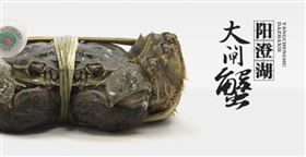 阳澄湖大闸蟹 跨境电商模式出口 上海报关行
