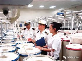 海关稽查对象 双随机模式 进出口报关代理