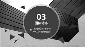 WCO跨境电商会议