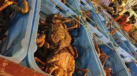欣海报关,船运活海鲜,生鲜进口通关