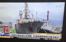 欣海报关,船运活海鲜,生鲜进口通关