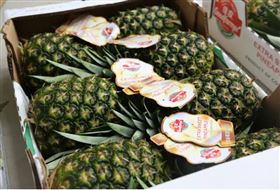 哥斯达黎加,菠萝,水果进口清关
