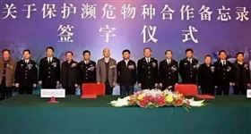 欣海报关-进口报关