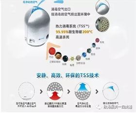 欣海报关-预归类