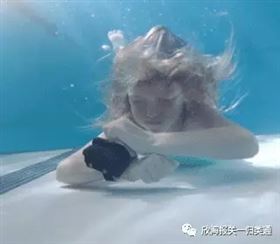 欣海报关-预归类 欣海报关-预归类