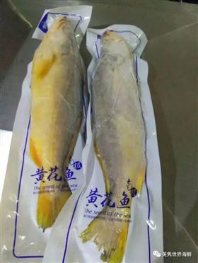欣海报关-海鲜进口报关
