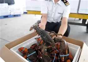 海鲜进口报关