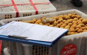 进口水果属地报关