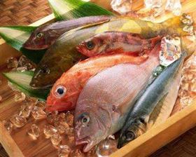 海鲜进口报关 海鲜进口报关