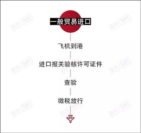 飞机进口