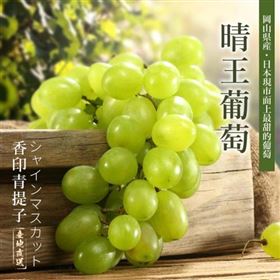 进口水果报关代理 进口水果报关代理