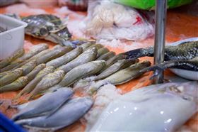进口清关代理 进口清关代理