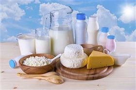 乳制品进口报关