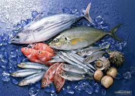 上海海鲜清关 上海海鲜清关