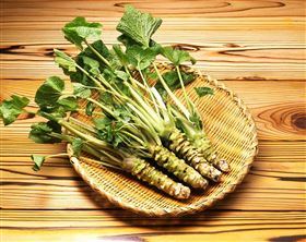 食品进口报关 食品进口报关