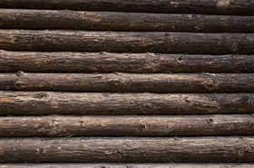 木材进口代理 木材进口代理