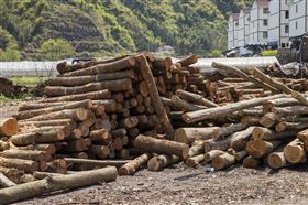 木材进口代理 木材进口代理