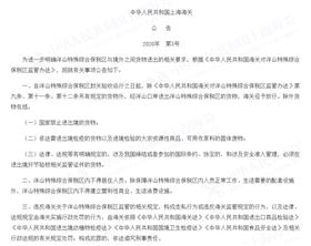 进口报关代理公司