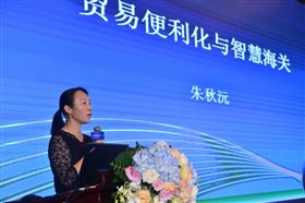 智能通关软件