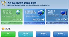 进口报关代理