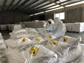 进口报关代理 进口报关代理