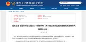 上海进口报关公司