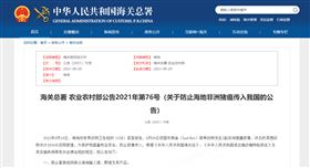 进口报关代理