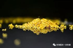 再生材料进口报关