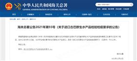 进口报关代理