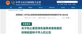 进口报关代理