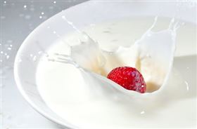 食品进口报关