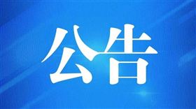 进口报关代理