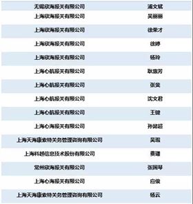 全国优秀报关企业