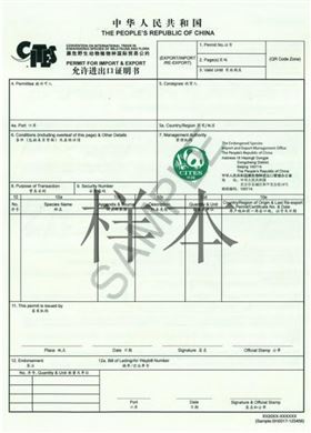 濒危物种允许进口证明