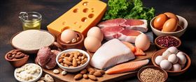 食品进口报关