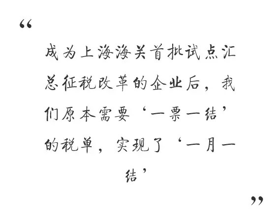 汇总征税 进口报关