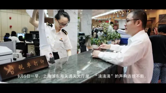 汇总征税 进口报关
