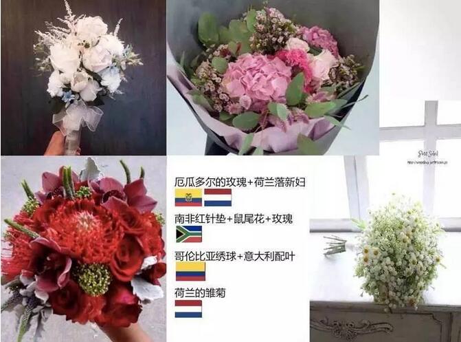 鲜花进口报关 进口报关 进口报关公司 鲜花进口报关 进口报关 进口报关公司